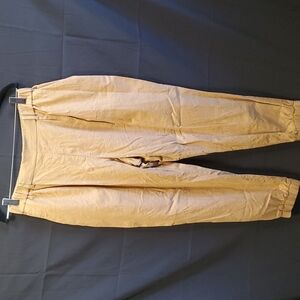 Express Ankle Linen Pants SZ MD